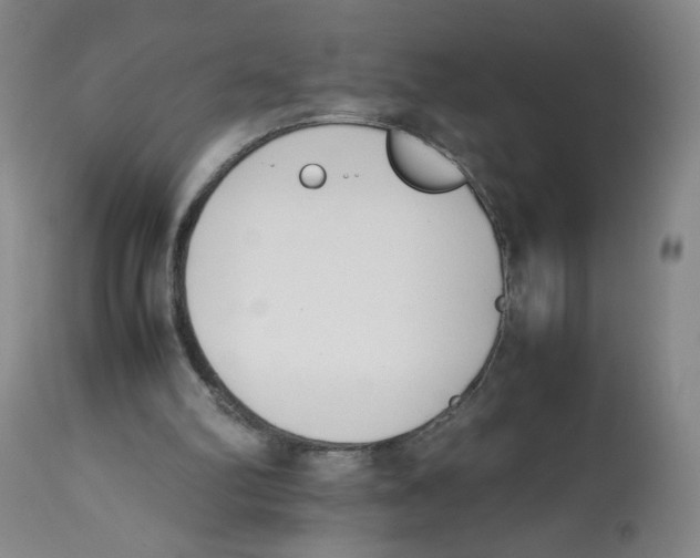 X0000113150102200910021512