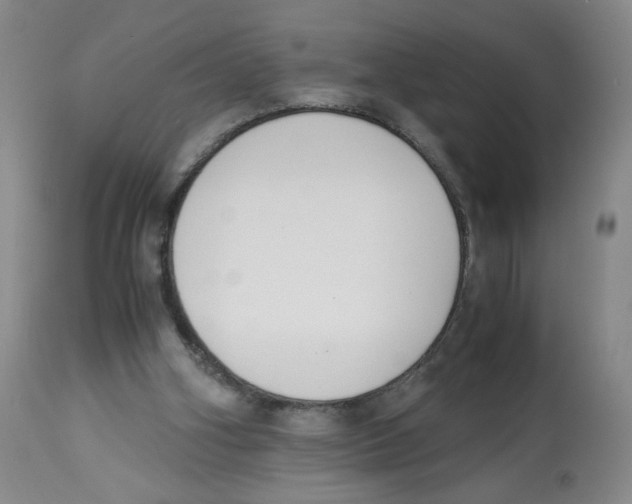 X0000113150106200910021512