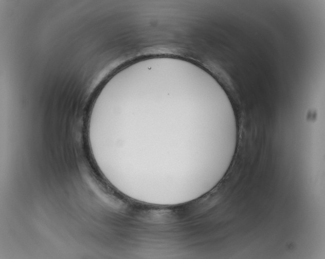 X0000113150108200910021512