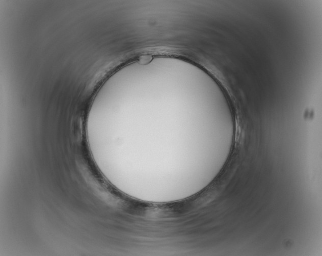 X0000113150109200910021511