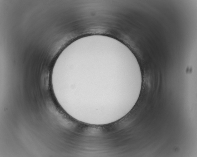 X0000113150110200910021511