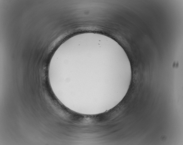 X0000113150111200910021511