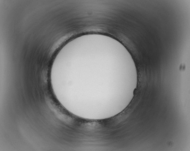 X0000113150112200910021511