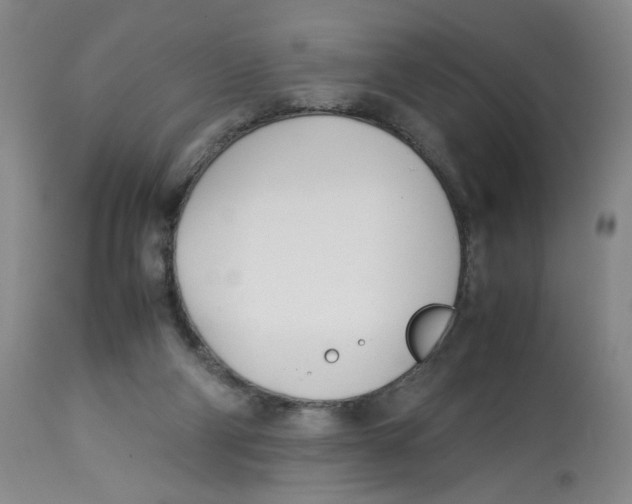 X0000113150114200910021511