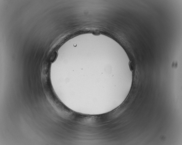 X0000113150116200910021511