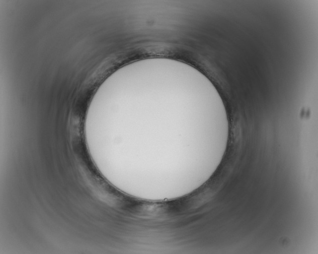 X0000113150117200910021511