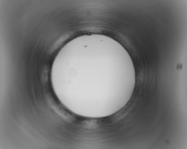 X0000113150120200910021511