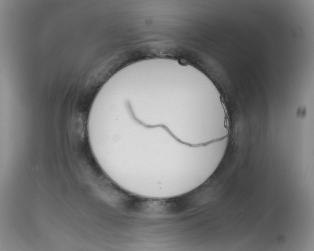 X0000113150121200910021511