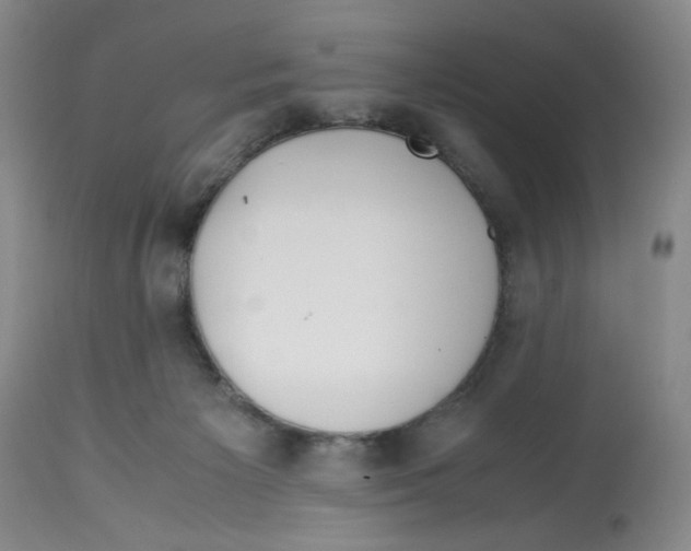 X0000113150125200910021511