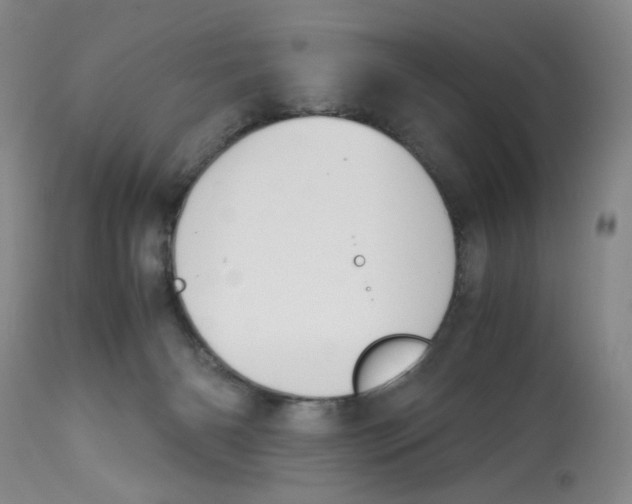 X0000113150126200910021511