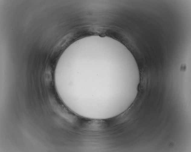 X0000113150128200910021511