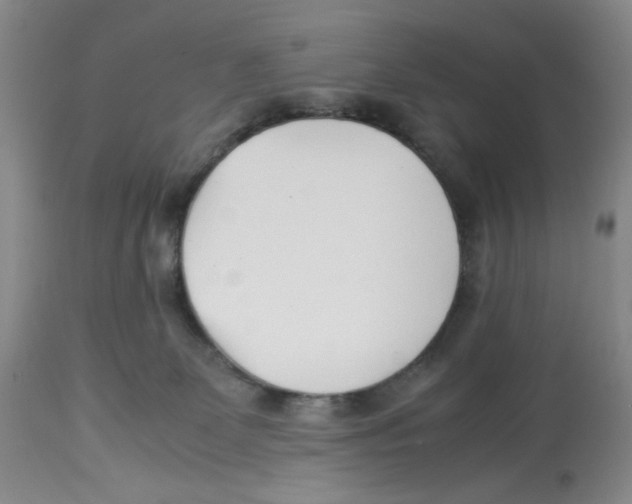 X0000113150131200910021511