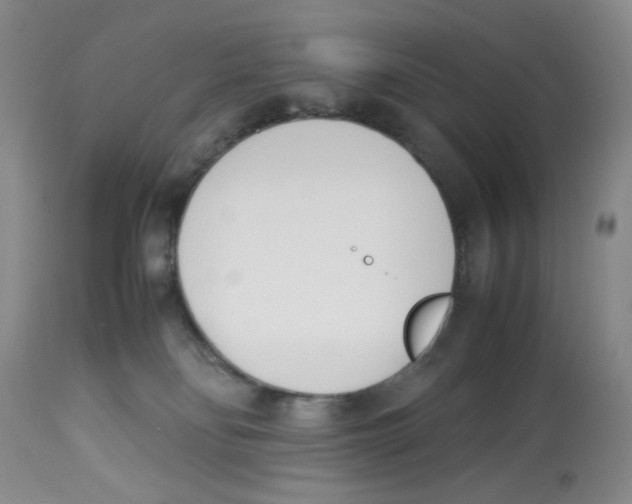 X0000113150134200910021511