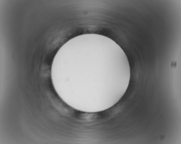 X0000113150135200910021511