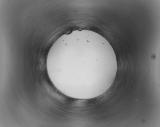 X0000113150136200910021511