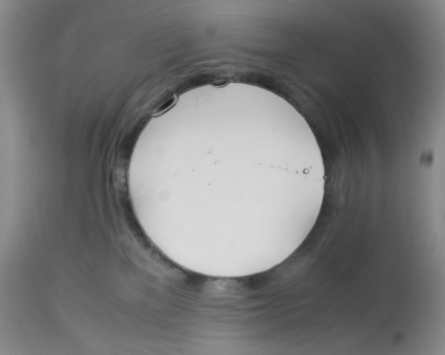 X0000113150137200910021511