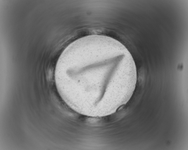 X0000113150139200910021511