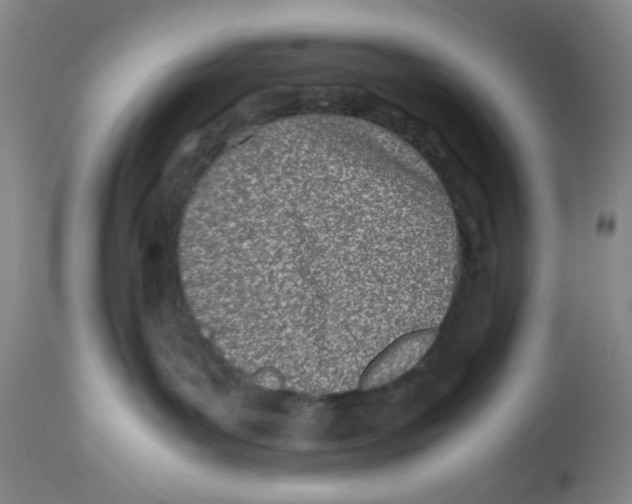 X0000113150143200910021511