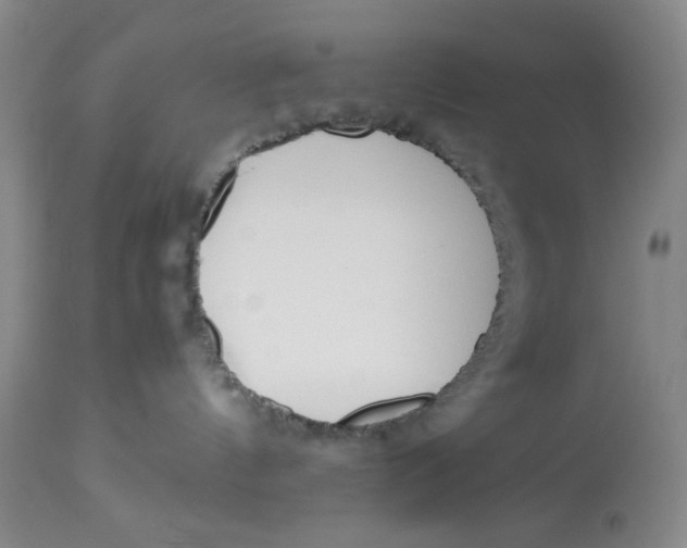 X0000113150144200910021511