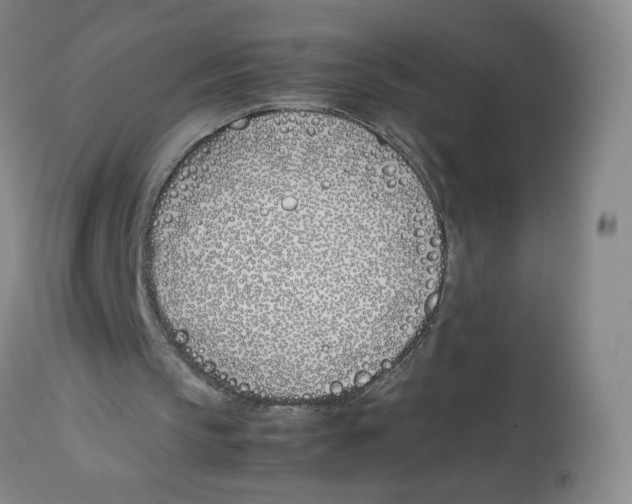 X0000113150145200910021510