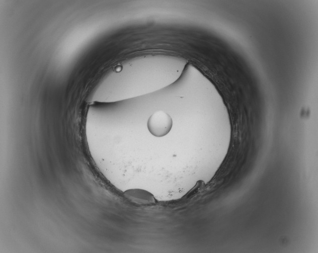 X0000113150146200910021510