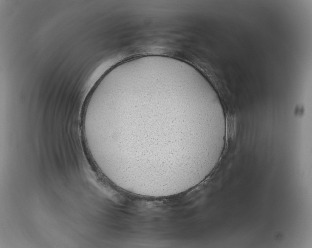 X0000113150147200910021510