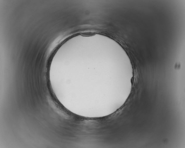 X0000113150150200910021510