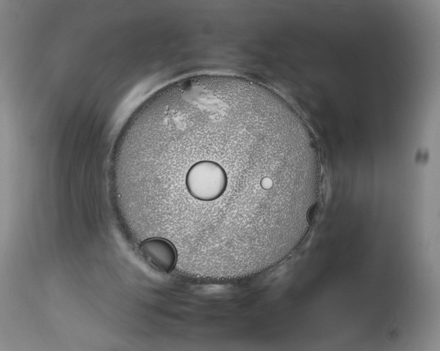 X0000113150151200910021510