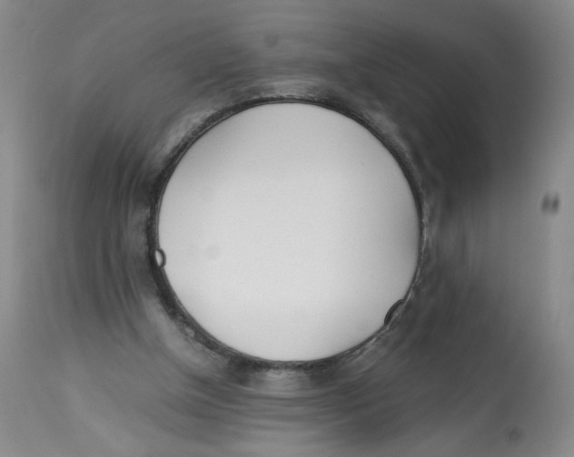 X0000113150154200910021510