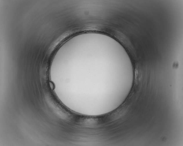 X0000113150156200910021510