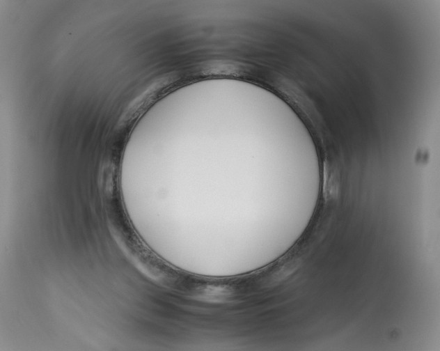 X0000113150157200910021511