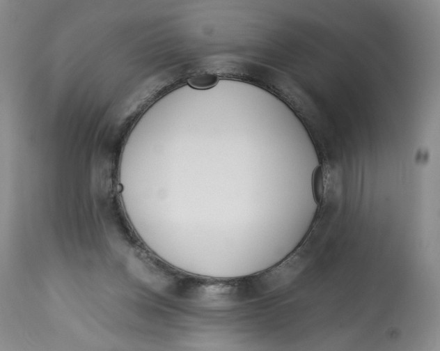 X0000113150158200910021511