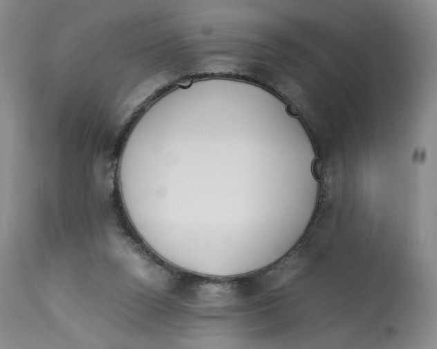 X0000113150160200910021511