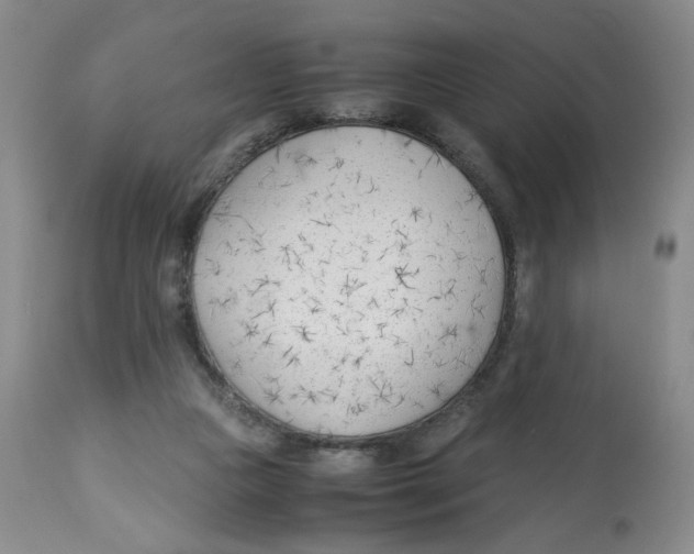 X0000113150161200910021511