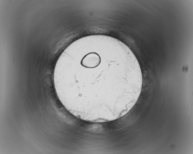 X0000113150162200910021511