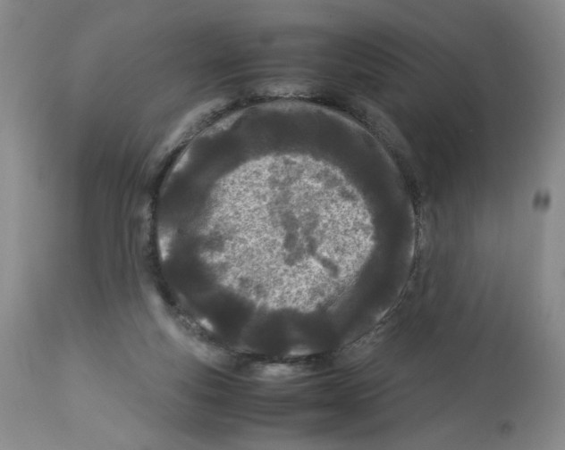 X0000113150163200910021511