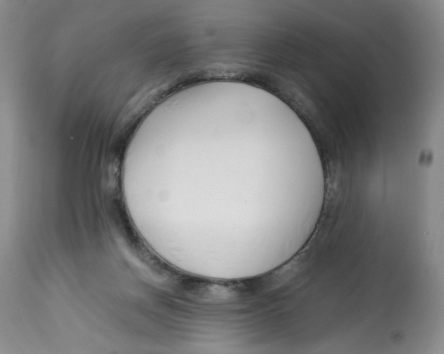 X0000113150166200910021511