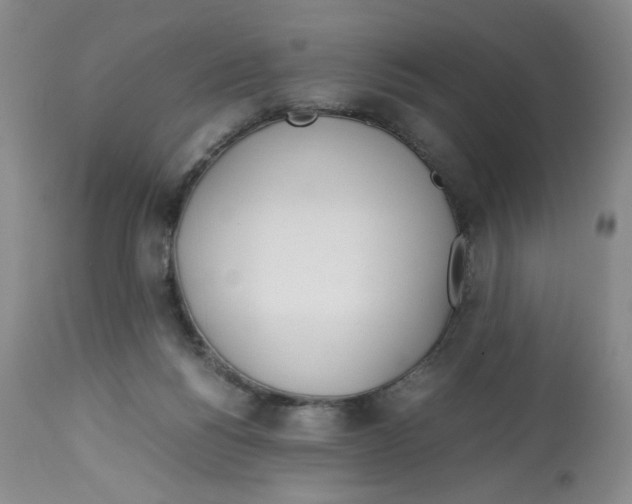 X0000113150168200910021511