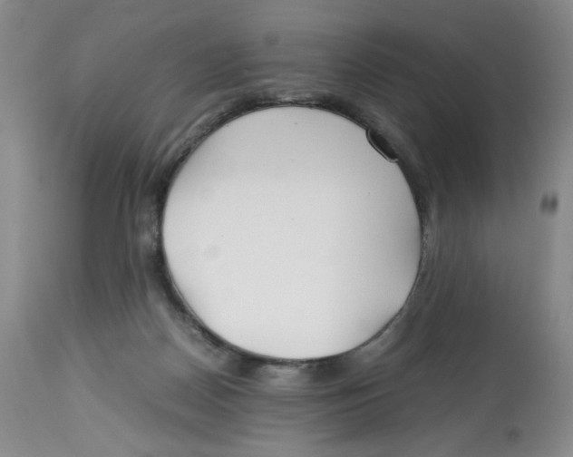 X0000113150170200910021511