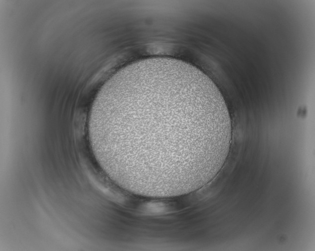 X0000113150171200910021511