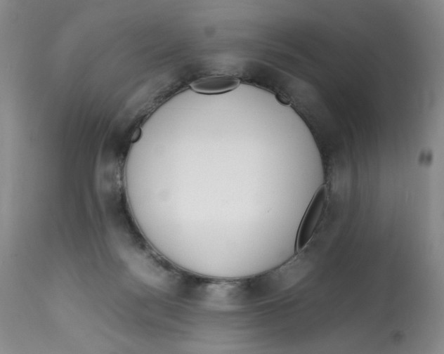 X0000113150172200910021511