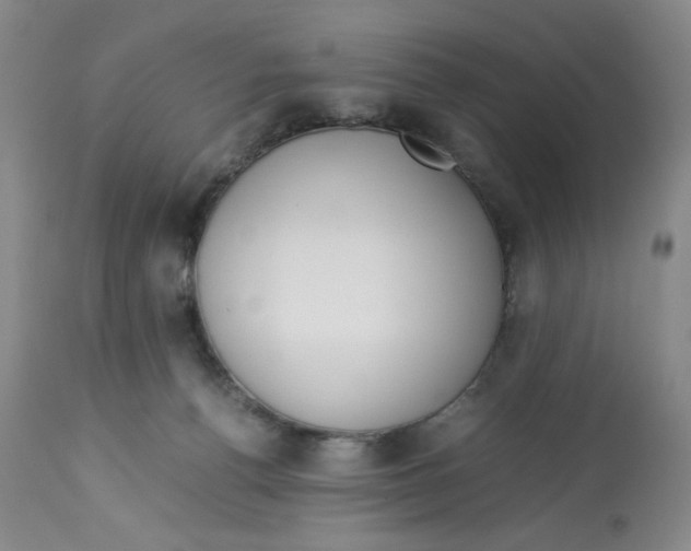 X0000113150176200910021511