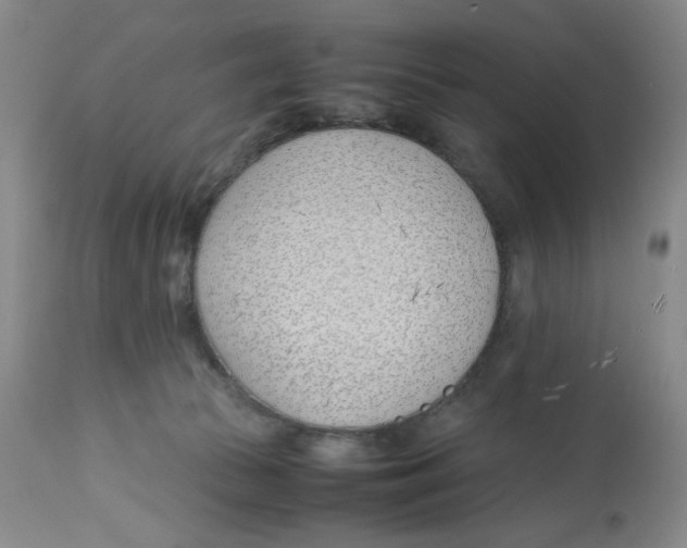 X0000113150177200910021511