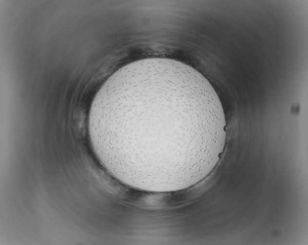 X0000113150178200910021511