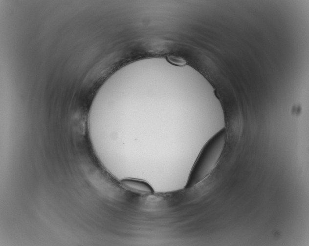 X0000113150180200910021511