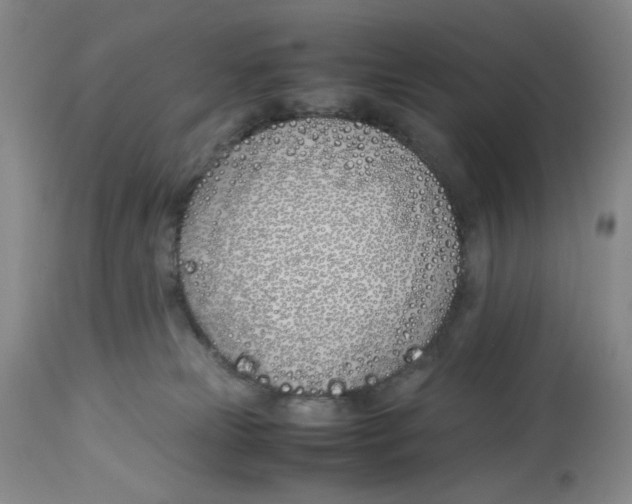 X0000113150181200910021511