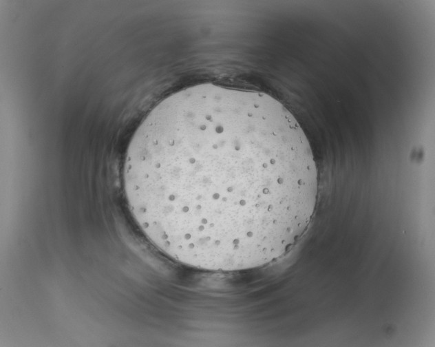 X0000113150182200910021511