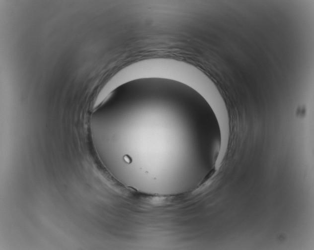 X0000113150184200910021511