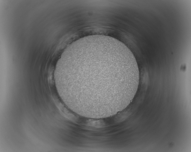 X0000113150185200910021511