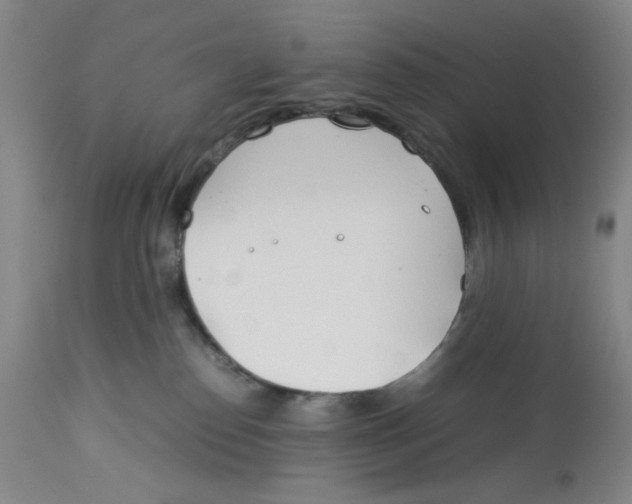 X0000113150186200910021511